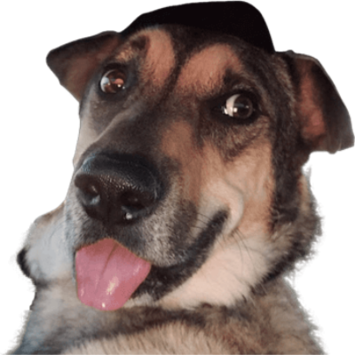 Roman: Guild Recruitment Barker