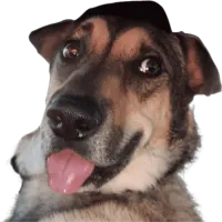 Roman: Guild Recruitment Barker
