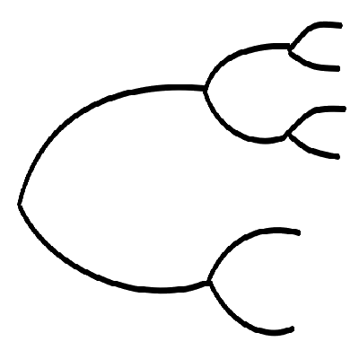 Bisector