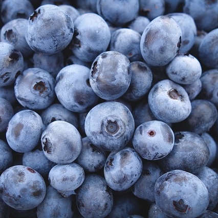 Blueberry (Entropic Embrace Sound Notification)