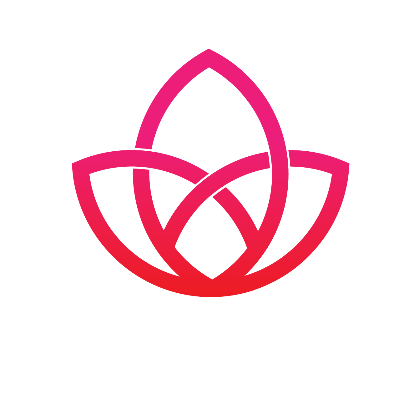 Bloom Media