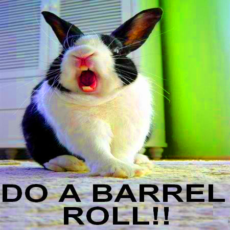 DoABarrelRoll