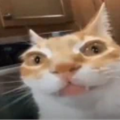 B&S Twitch Emotes