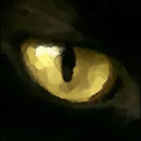ZenBionicChat