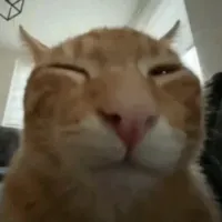 Buh Emotes