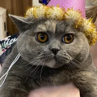 SweepyBoop's PvP Helper