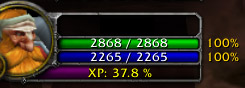 Player XP Bar