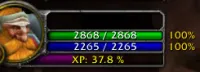 Player XP Bar