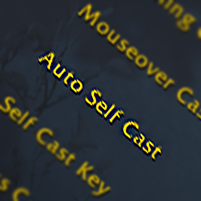 SelfCastSetter