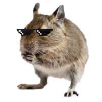 TrackIt