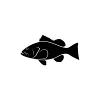 Grouper LFG