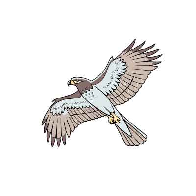 Skyriding Falcon