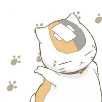 MiaoYingBis