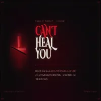 Can't Heal You For Midnight