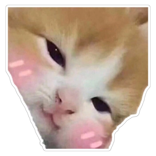 CemRaidUtils