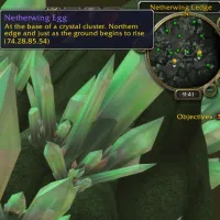 Netherwing Eggs