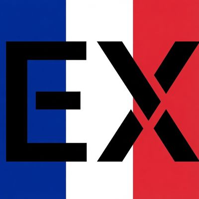Exboss French Voice Pack