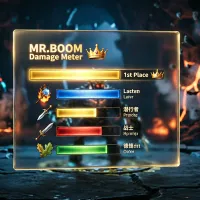 MR.BOOM Damage Meter