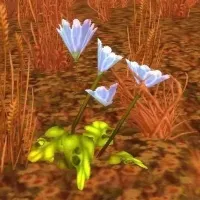 VievFoundaFlower