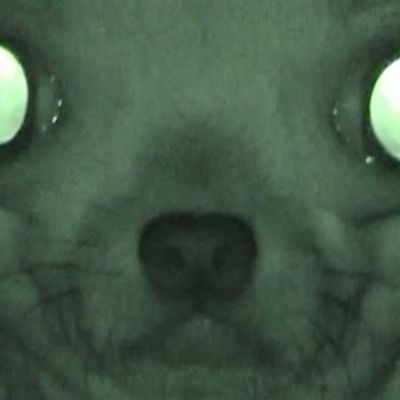 Notatank Buffs and Debuffs Watch