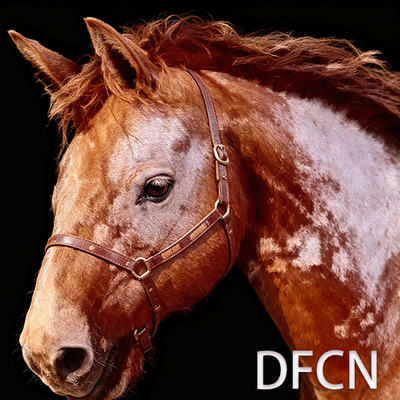 DFCN_MountHelper