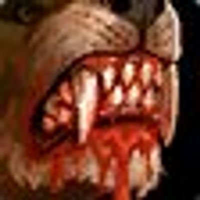 CompanionTracker