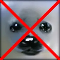 NoPetStances