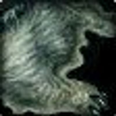 Midnight Skinning Companion