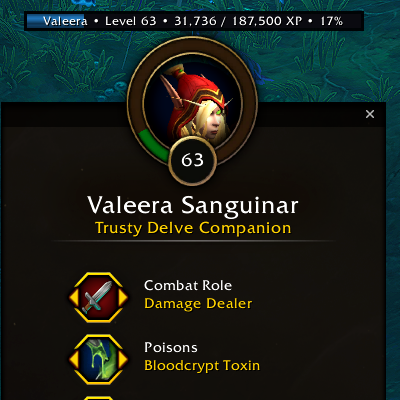 Valeera XP Bar