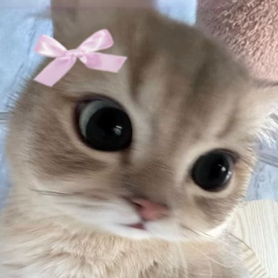 LizzievEmotes