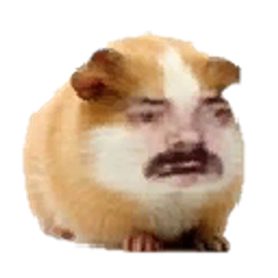 SharedMedia_Immu
