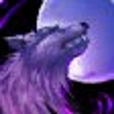 RaidLeadHelper