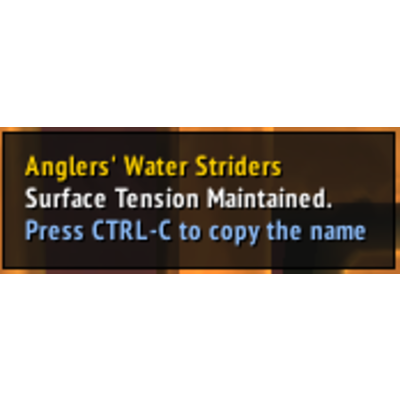 NameCopy