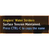 NameCopy