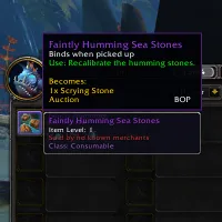 Mrrls Item Information