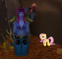 My Little Companion