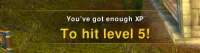 Advanced XP Bar