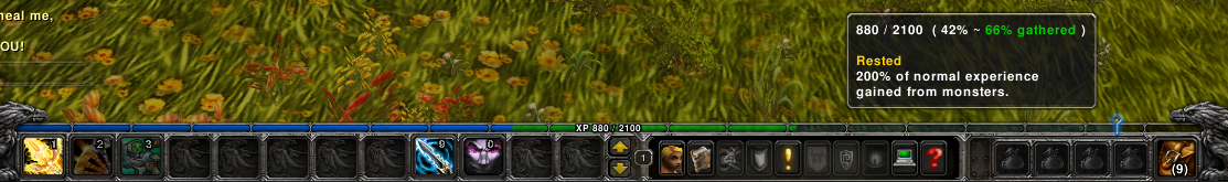 pvw44762.png
