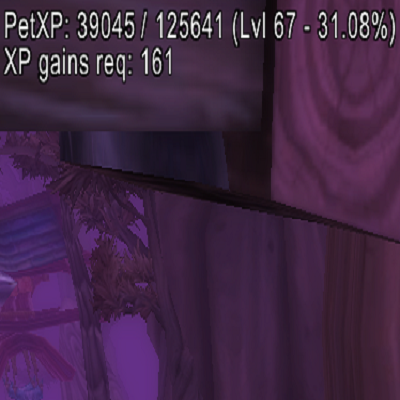 PetXPTBC