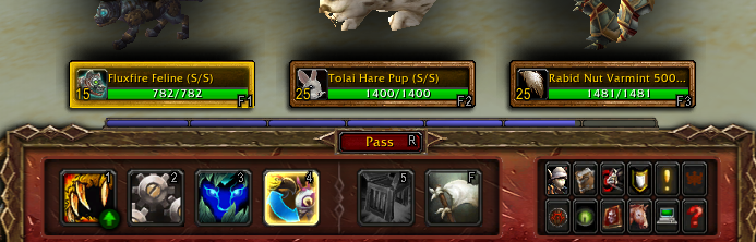 Battle Pet Binds