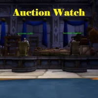Auction Watch