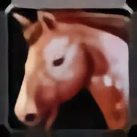 MountsRarity