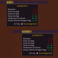 gmBagSlots