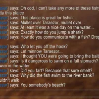 Let Minnow
