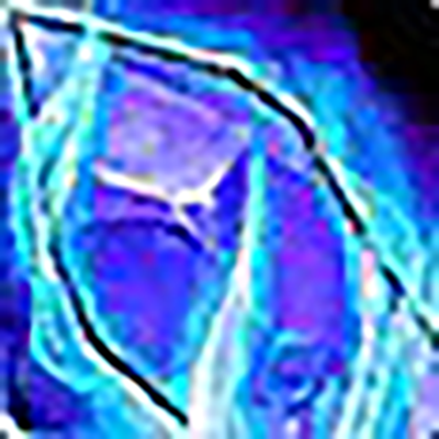 One Click Enchant
