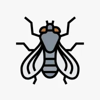 Notifly