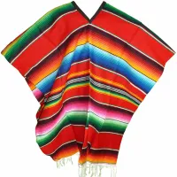 Poncho-2.0