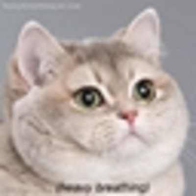 Tooltip GCD display