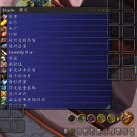 Skada(TWW)
