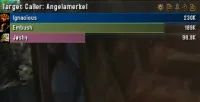 Details! Damage Meter: Target Caller (plugin)